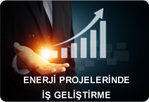 Business Development In Energy Projects